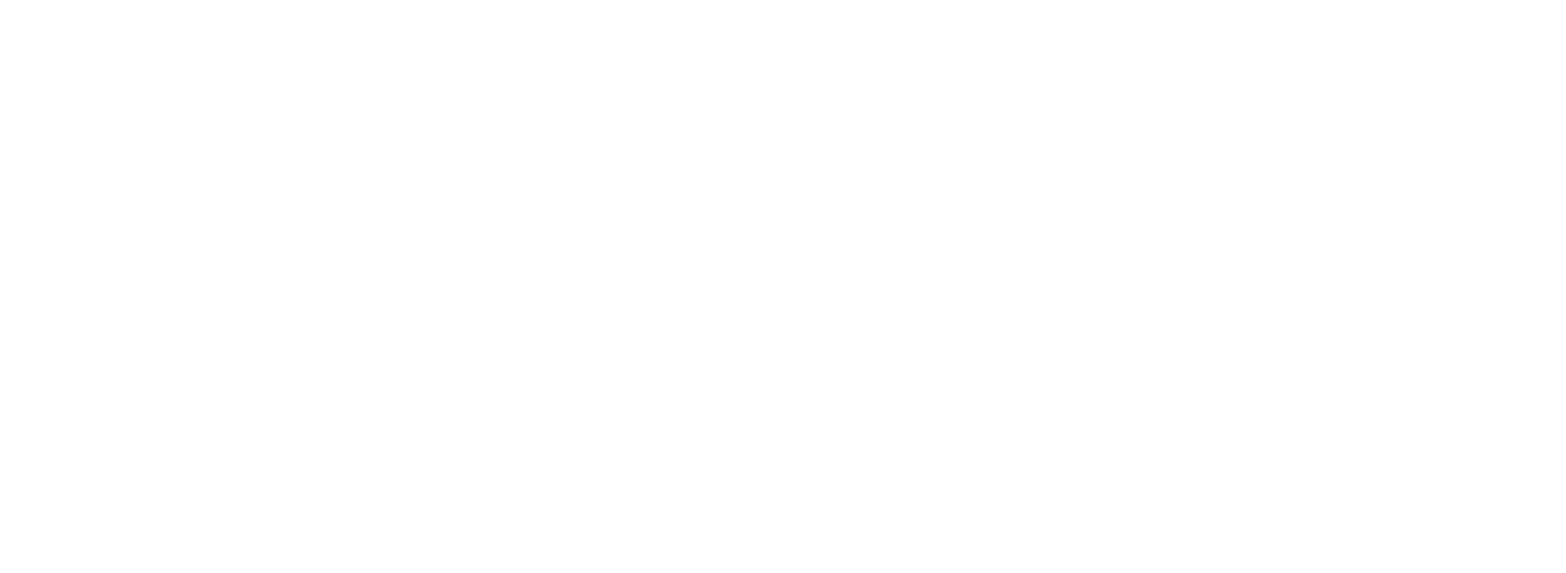 SPARC Executive Development and Consulting